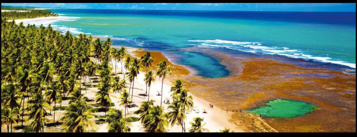 Casa Praia Do Forte - Piscinas Naturais Farol Zewnętrze zdjęcie